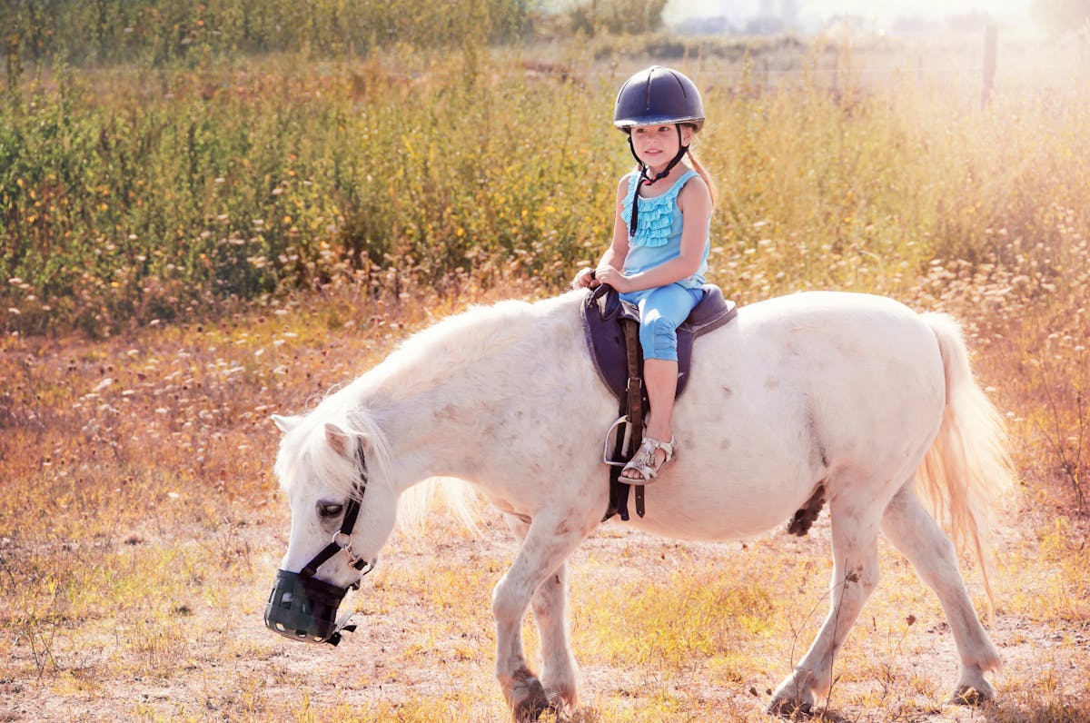 Commencer l'équitation avec son enfant : le guide