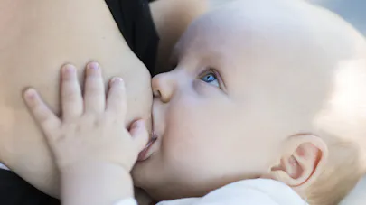 Le Muguet Et De Lallaitement Maternel Sites De Rencontre Gratuits Pour Les Filles Le Muguet Et De Lallaitement Maternel Sites De Rencontre Gratuits Pour Les Filles