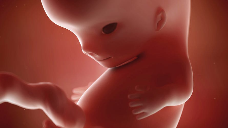 Bébé in utero : le développement des sens