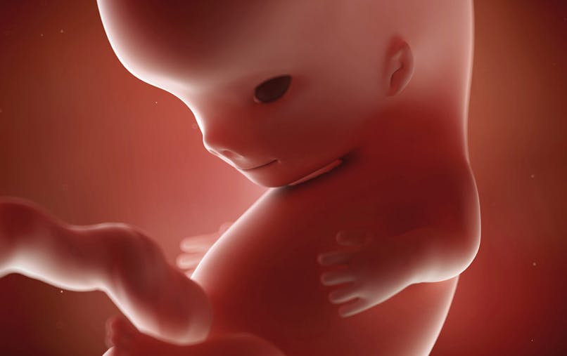 Foetus Bebe In Utero Developpement Des Sens De L Ouie Et La Vue Parents Fr Foetus Bebe In Utero Developpement Des Sens De L Ouie Et La Vue Parents Fr