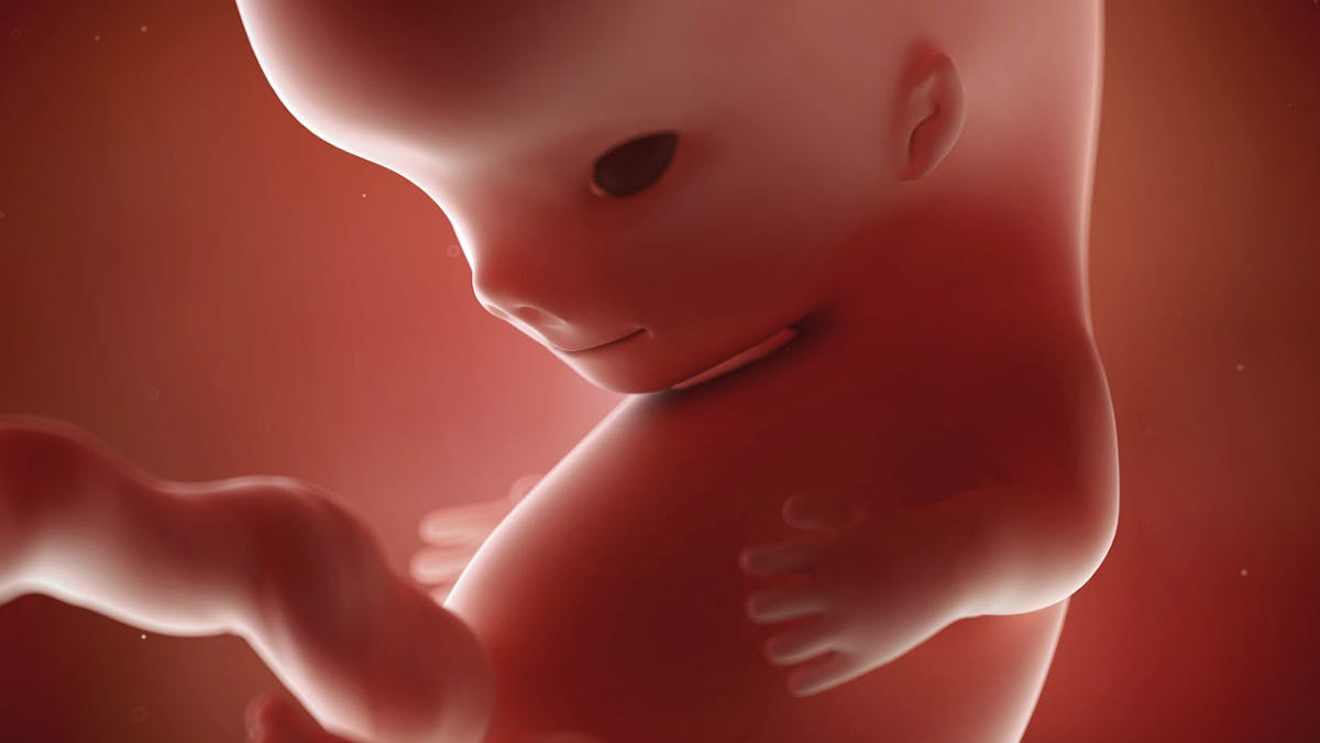 Comment Les Sens De Bebe Se Developpent Ils In Utero Parents Fr Comment Les Sens De Bebe Se Developpent Ils In Utero Parents Fr