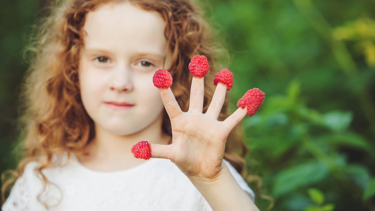 Tout Savoir Sur Les Allergies Alimentaires De L Enfant Parents Fr Tout Savoir Sur Les Allergies Alimentaires De L Enfant Parents Fr