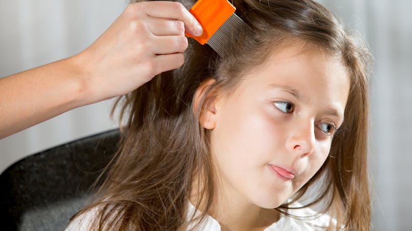 Poux Conseils Et Recommandations Parents Fr Poux Conseils Et Recommandations Parents Fr