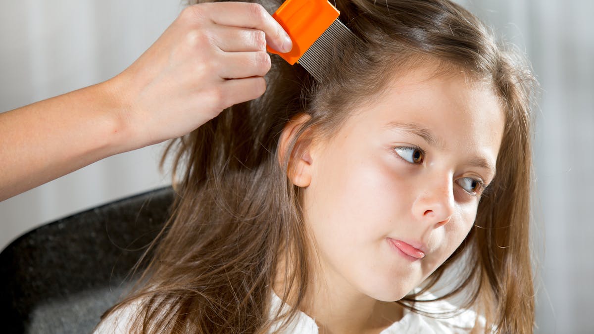 Poux Conseils Et Recommandations Parents Fr Poux Conseils Et Recommandations Parents Fr