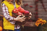 Fruits et légumes pour enfants : les recommandations par  jour