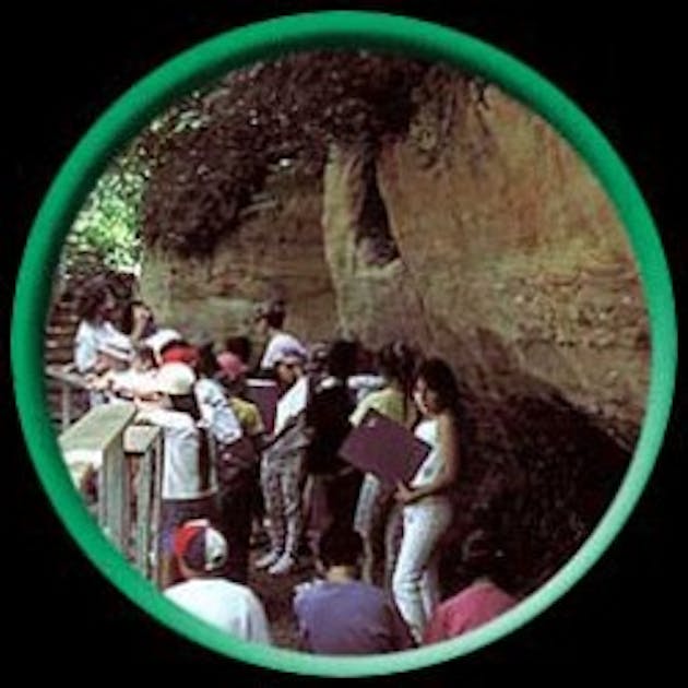 Réserve Naturelle Géologique de Saucats PARENTS.fr Réserve Naturelle Géologique de Saucats PARENTS.fr