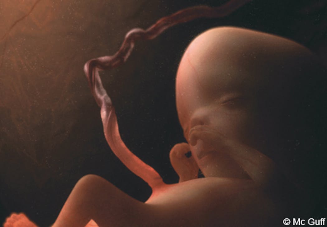 Photo gratuite de à naître, bébé, échographie, enceinte, femme, fœtus,  grossesse, photo, stade de la naissance humaine, test