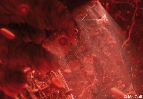 Le Fœtus En Images Evolution Du Fœtus Dans Le Ventre De Sa Mere Mois Par Mois 1 2 Mois 3 4 Mois Parents Fr Le Fœtus En Images Evolution Du Fœtus Dans Le Ventre De Sa Mere Mois Par Mois 1 2 Mois 3 4 Mois Parents Fr