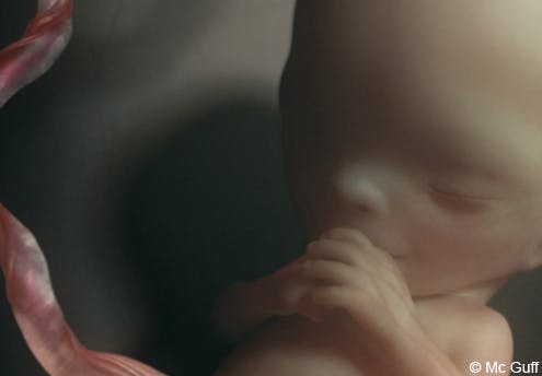 Le Fœtus En Images Evolution Du Fœtus Dans Le Ventre De Sa Mere Mois Par Mois 1 2 Mois 3 4 Mois Parents Fr Le Fœtus En Images Evolution Du Fœtus Dans Le Ventre De Sa Mere Mois Par Mois 1 2 Mois 3 4 Mois Parents Fr