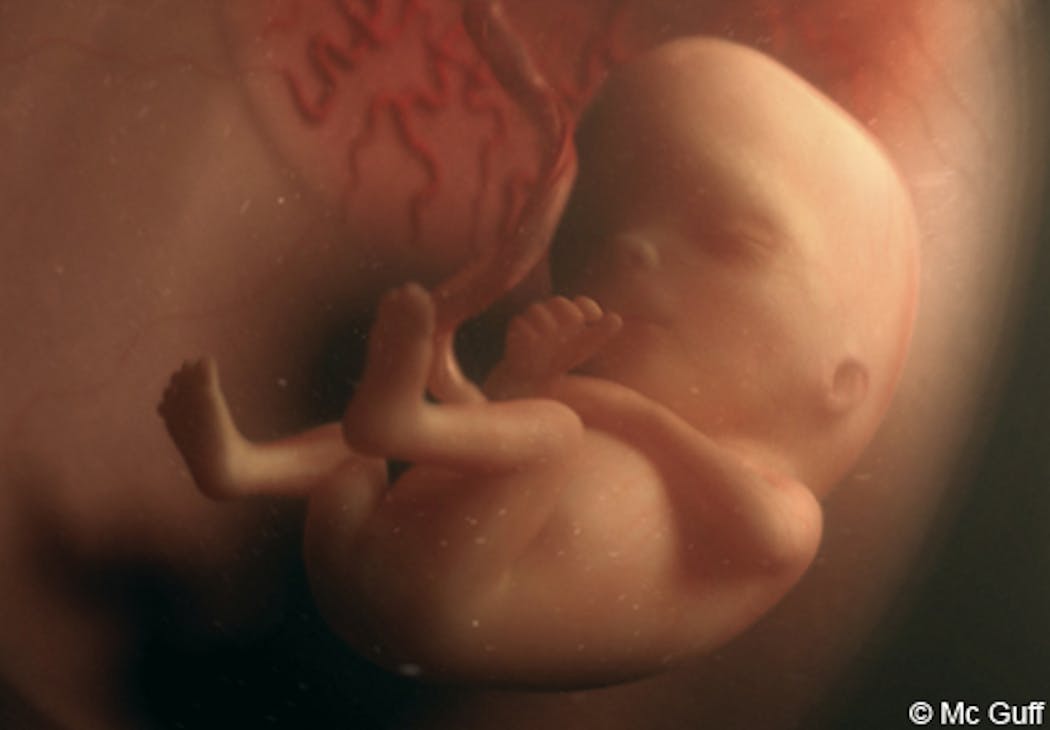 Photo gratuite de à naître, bébé, échographie, enceinte, femme, fœtus,  grossesse, photo, stade de la naissance humaine, test