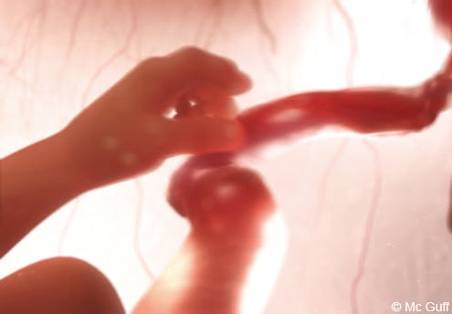 5 mois : Bébé découvre son corps