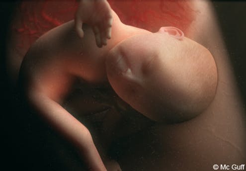 8 mois foetus : Bébé se met en position pour sortir