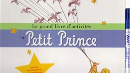 Le grand livre d'activités du Petit Prince