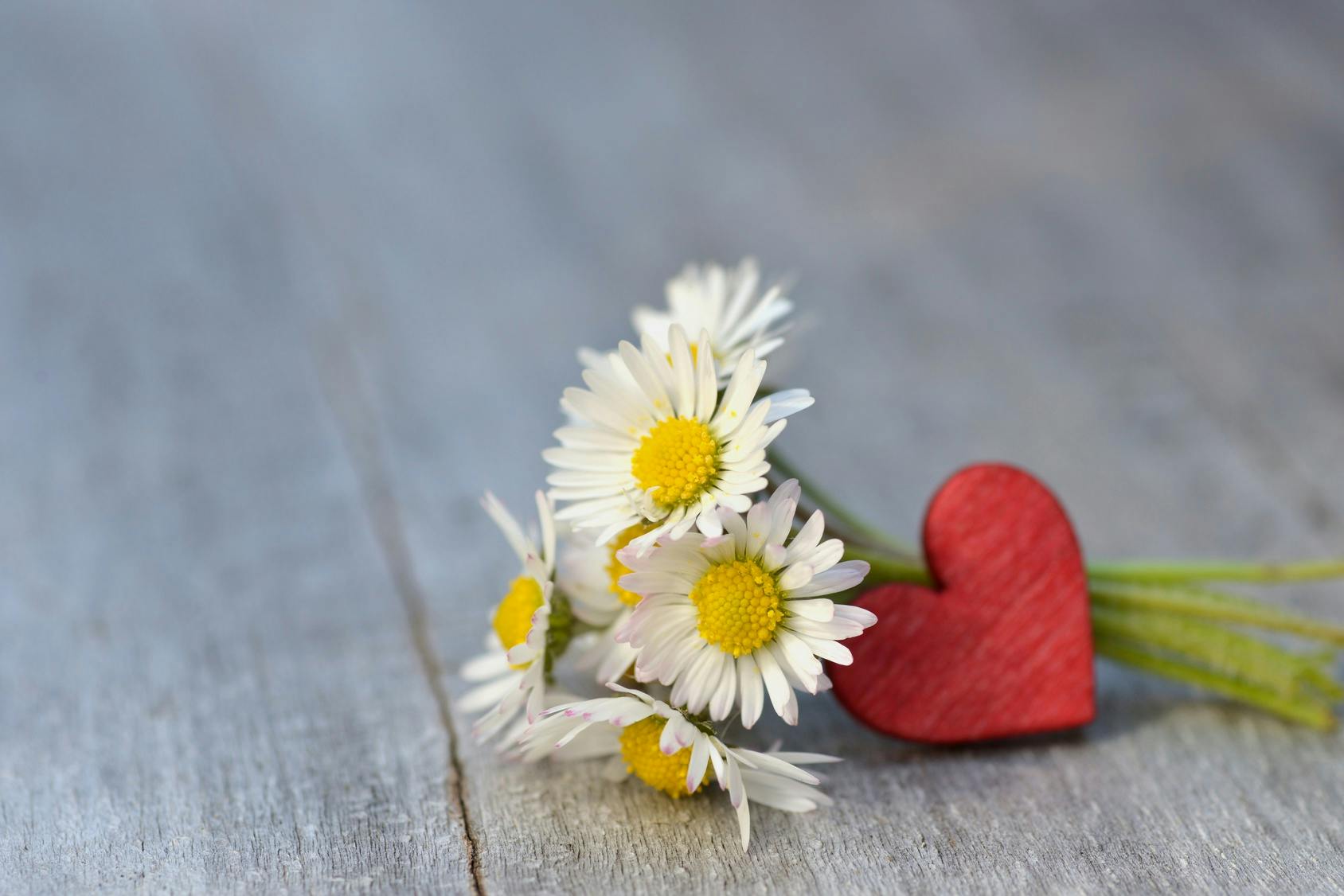 Idees Cadeaux Pour La Fete Des Meres Parents Fr