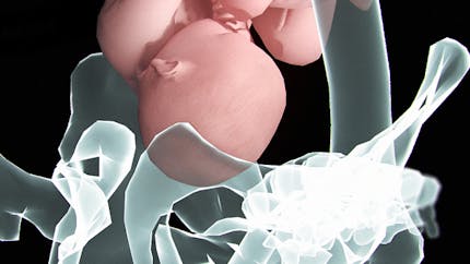 Le premier jeu vidéo en 3D pour simuler votre
  accouchement