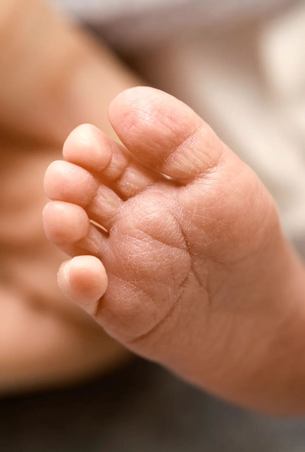 Portraits De Bebe Les Nouveau Nes Parents Parents Fr Portraits De Bebe Les Nouveau Nes Parents Parents Fr