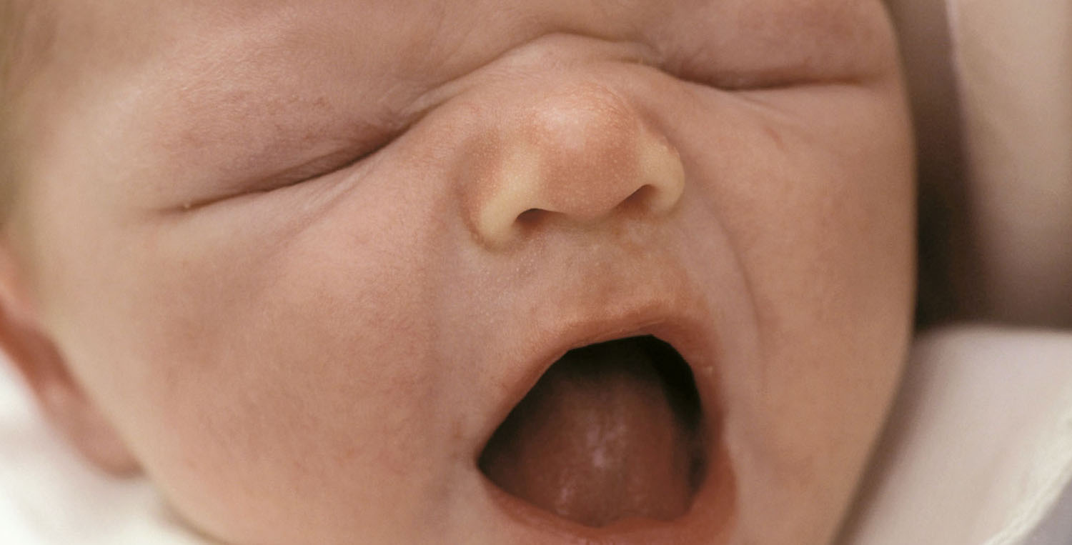 Nouveau Nes Ils Communiquent Par La Voix Et Le Regard Parents Fr