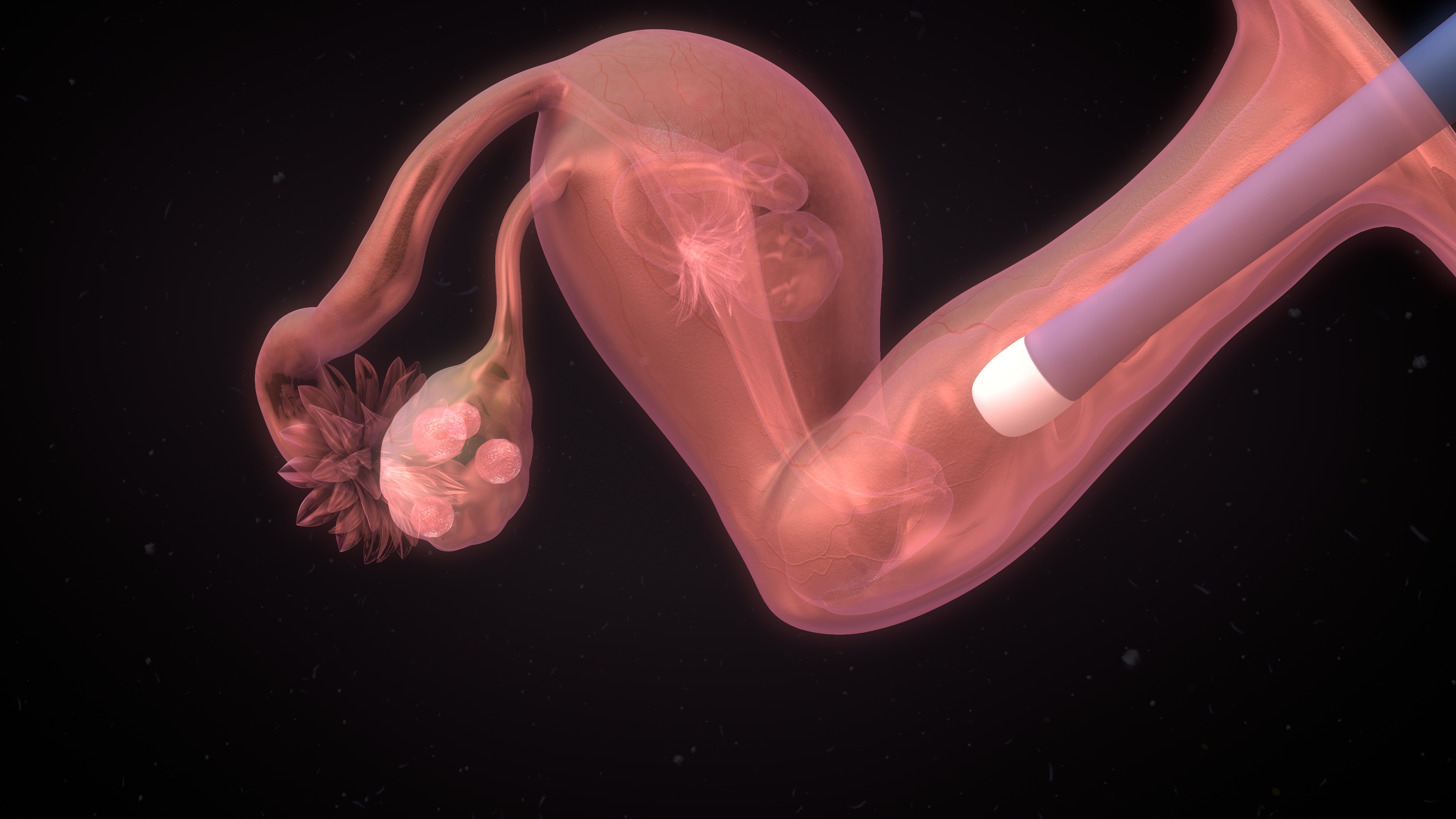 попадает ли сперма в матку беременности фото 103