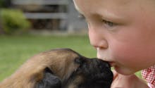 Les chiens susciteraient plus d’empathie que les
  bébés