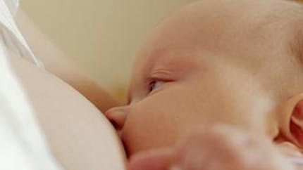 Les enfants allaités à la naissance seraient plus
  intelligents que les autres
