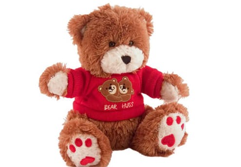 Teddy bear surveillance system