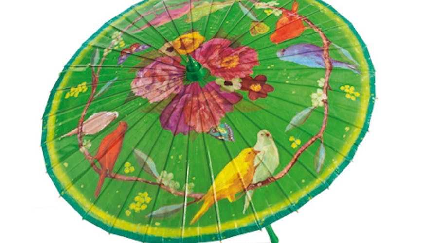Parapluie oiseaux