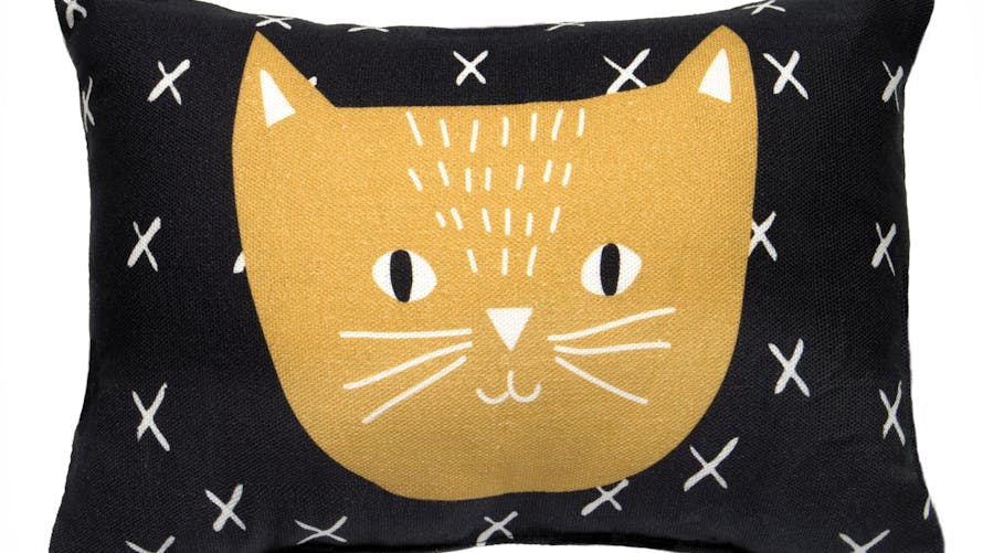 Coussin Charlie le chat