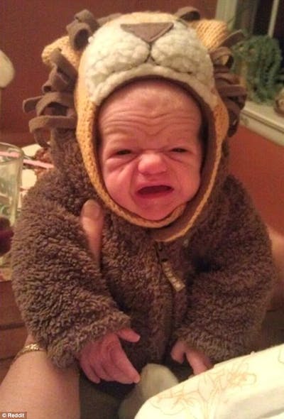 Reddit Des Photos De Vieux Bebes Amusent Les Internautes Parents Fr Reddit Des Photos De Vieux Bebes Amusent Les Internautes Parents Fr