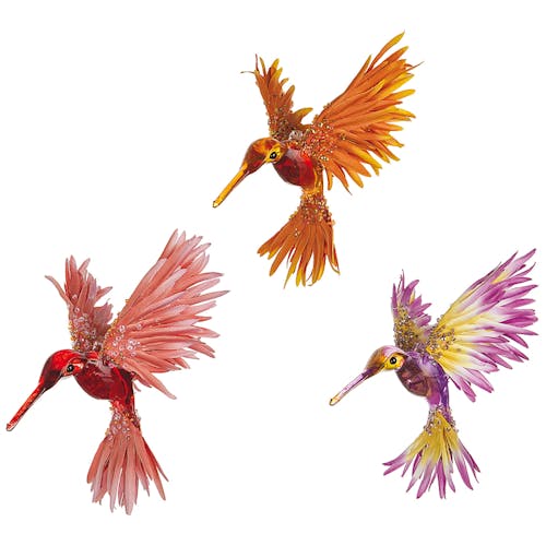 Clips colibri