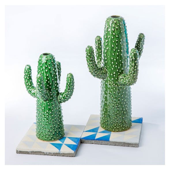 Vase cactus