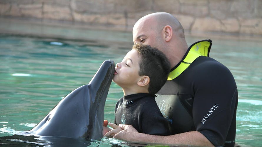 Un bain avec les dauphins pour Vin et son fils