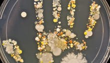Photo : les mains d'enfants, un nid à bactéries
