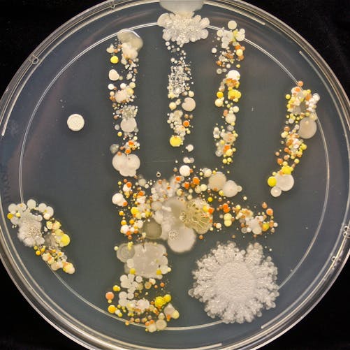 Photo : les mains d'enfants, un nid à bactéries