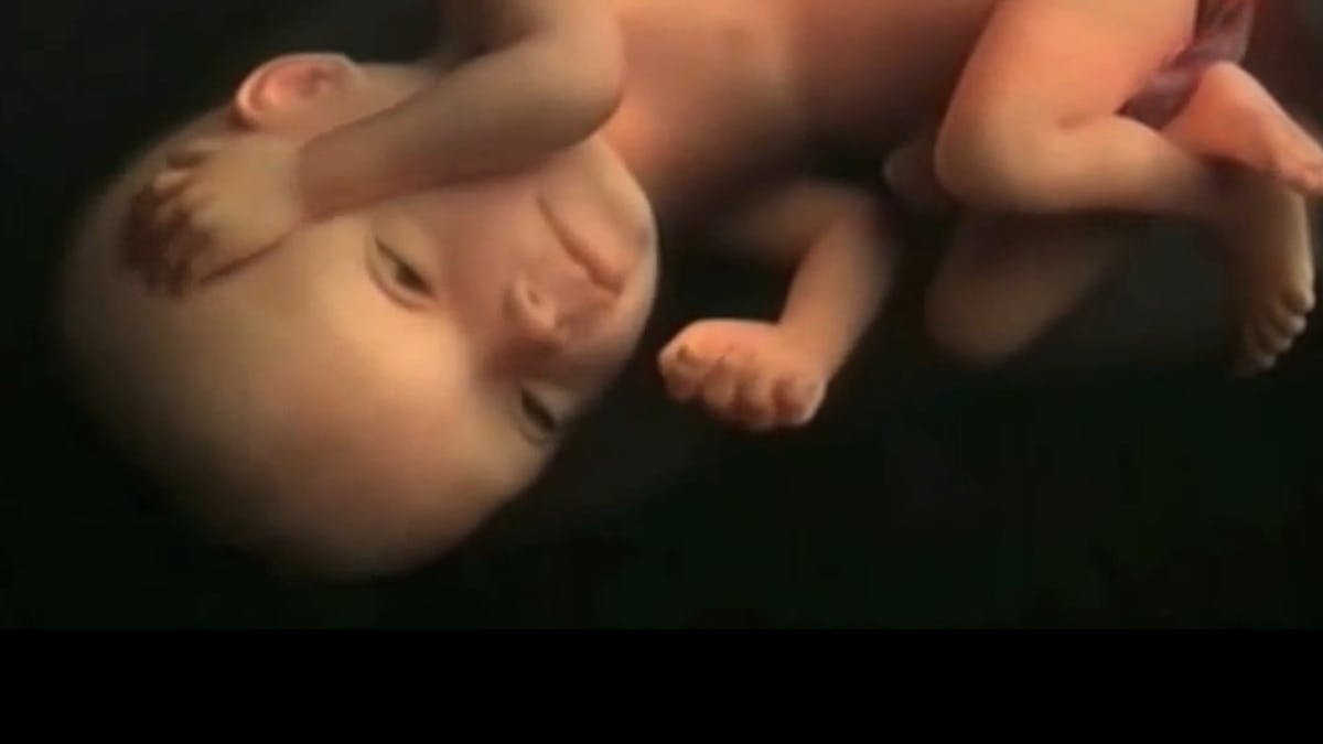 Bebe In Utero Une Video Epoustouflante Parents Fr Bebe In Utero Une Video Epoustouflante Parents Fr