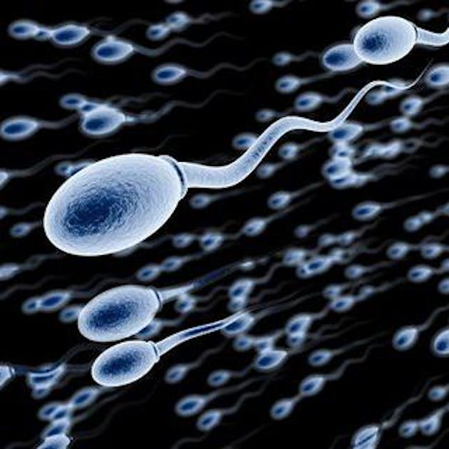 how-fast-sperm-swim-facial-fillers-cost
