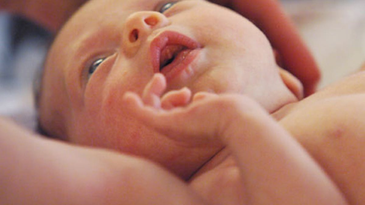 Le Poids De Naissance Affecterait Les Capacites Mentales A L Age Adulte Parents Fr Le Poids De Naissance Affecterait Les Capacites Mentales A L Age Adulte Parents Fr