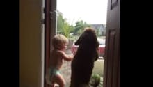 Vidéo : l’adorable réaction d’un chien et d’un bébé au
  retour du papa à la maison