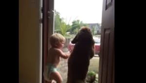 Vidéo : l’adorable réaction d’un chien et d’un bébé au
  retour du papa à la maison