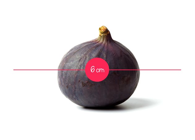 L Evolution Du Fœtus In Utero En 36 Fruits Et Legumes Parents Fr L Evolution Du Fœtus In Utero En 36 Fruits Et Legumes Parents Fr