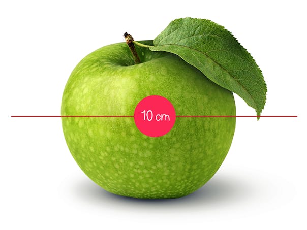 L Evolution Du Fœtus In Utero En 36 Fruits Et Legumes Parents Fr L Evolution Du Fœtus In Utero En 36 Fruits Et Legumes Parents Fr