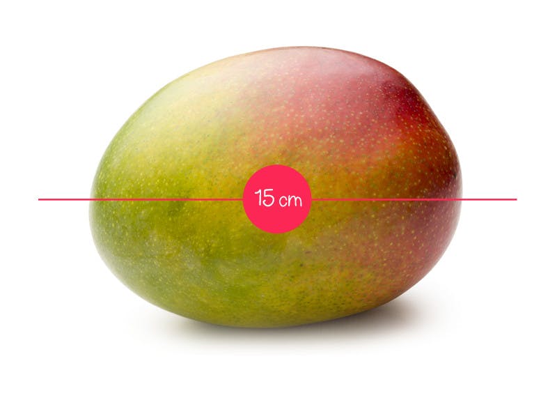 L Evolution Du Fœtus In Utero En 36 Fruits Et Legumes Parents Fr L Evolution Du Fœtus In Utero En 36 Fruits Et Legumes Parents Fr