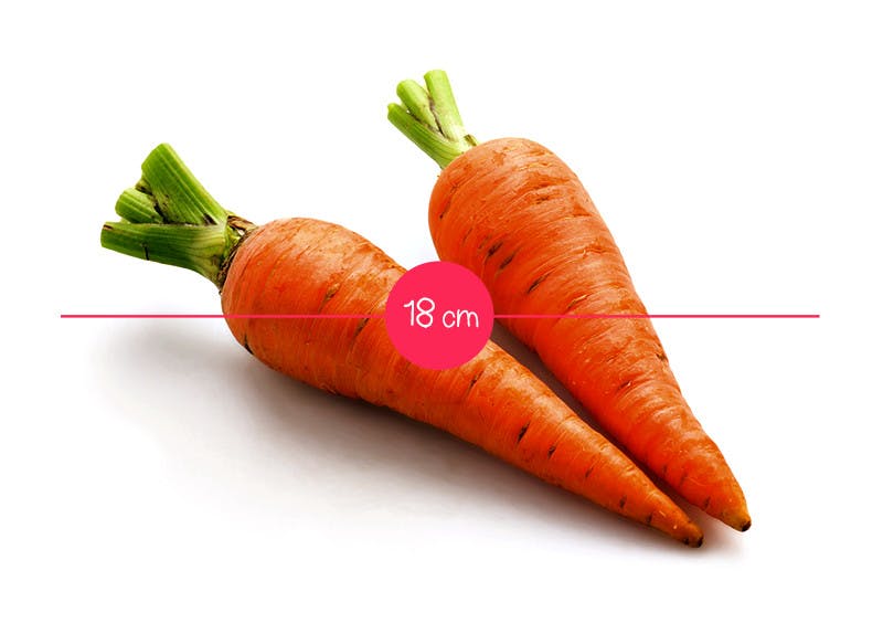 Semaine 19 : une carotte