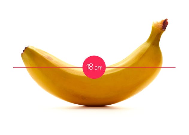 L Evolution Du Fœtus In Utero En 36 Fruits Et Legumes Parents Fr L Evolution Du Fœtus In Utero En 36 Fruits Et Legumes Parents Fr