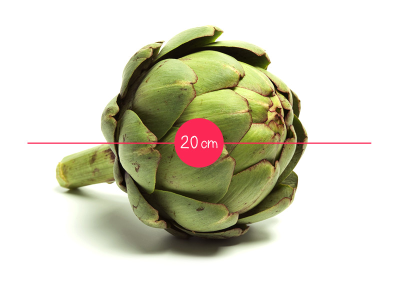 L Evolution Du Fœtus In Utero En 36 Fruits Et Legumes Parents Fr