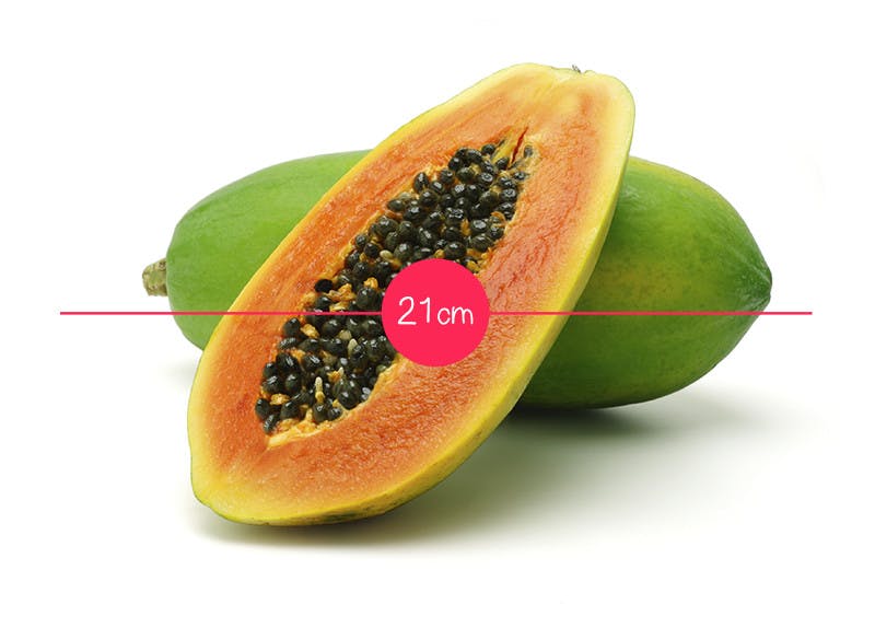 L Evolution Du Fœtus In Utero En 36 Fruits Et Legumes Parents Fr L Evolution Du Fœtus In Utero En 36 Fruits Et Legumes Parents Fr