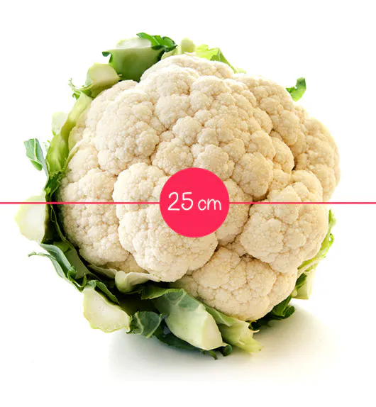 L Evolution Du Fœtus In Utero En 36 Fruits Et Legumes Parents Fr L Evolution Du Fœtus In Utero En 36 Fruits Et Legumes Parents Fr