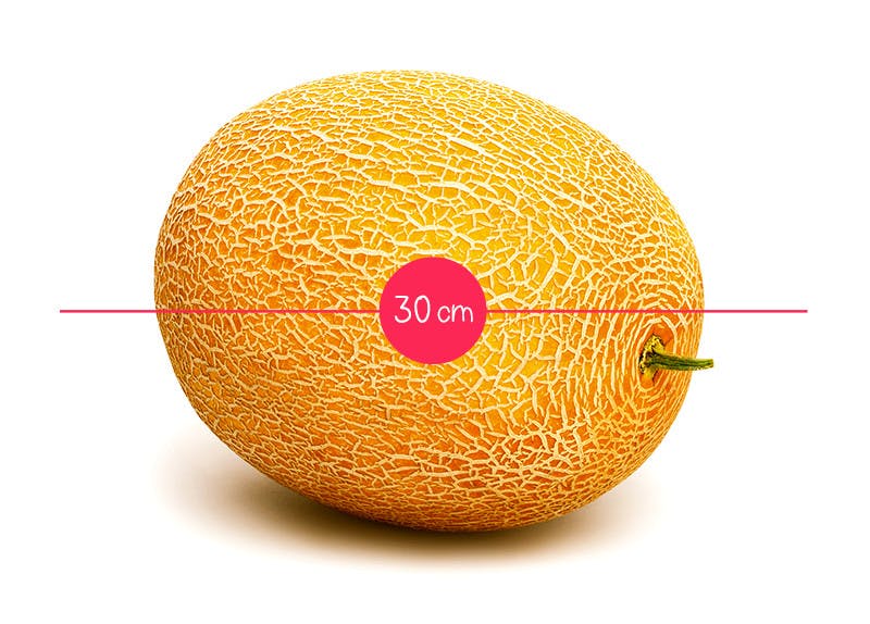 L Evolution Du Fœtus In Utero En 36 Fruits Et Legumes Parents Fr L Evolution Du Fœtus In Utero En 36 Fruits Et Legumes Parents Fr