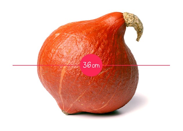 L Evolution Du Fœtus In Utero En 36 Fruits Et Legumes Parents Fr L Evolution Du Fœtus In Utero En 36 Fruits Et Legumes Parents Fr