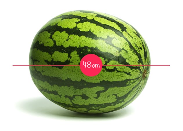L Evolution Du Fœtus In Utero En 36 Fruits Et Legumes Parents Fr L Evolution Du Fœtus In Utero En 36 Fruits Et Legumes Parents Fr