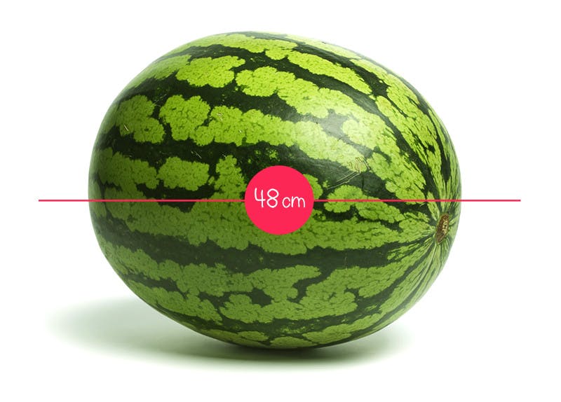 L Evolution Du Fœtus In Utero En 36 Fruits Et Legumes Parents Fr L Evolution Du Fœtus In Utero En 36 Fruits Et Legumes Parents Fr